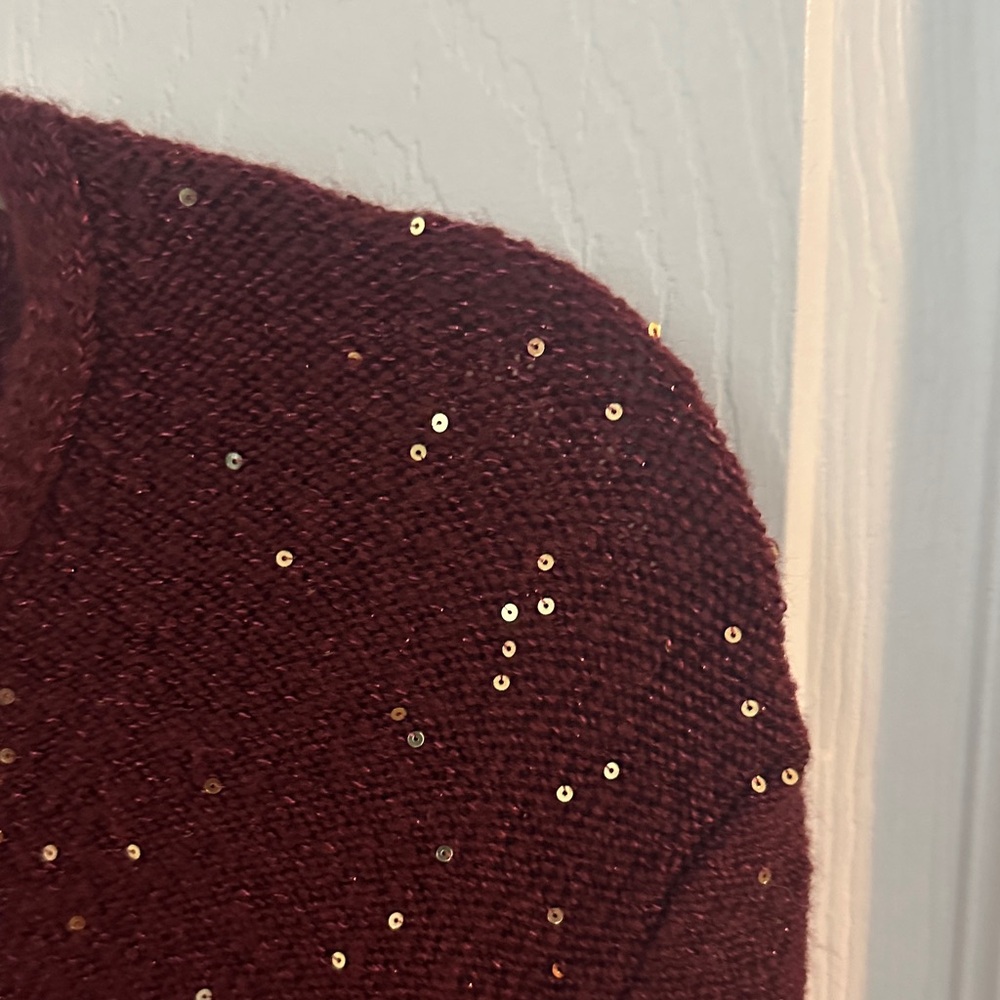 LOFT Burgundy V-Neck Sweater with Glitter Details - Picture 6 of 10
